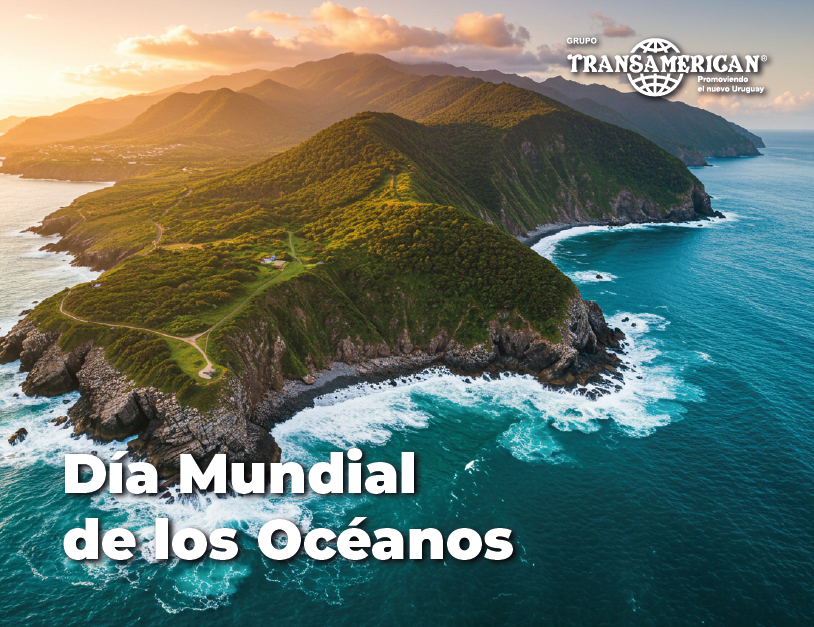 Día Mundial de los Océanos: cuidar el agua es cuidar la vida